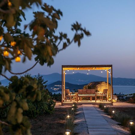 Jannas Apartments Naxos Agkidia 외부 사진
